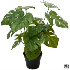 Kunstig monstera til hjemmet, 30 cm.
